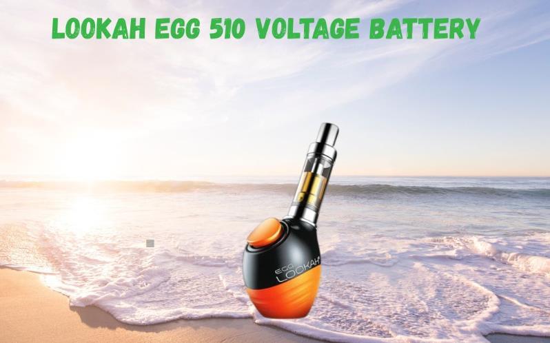 Lookah Egg 510 voltage battery vape device displayed on beach background with waves, available at De Soto Smoke Shop Kansas
